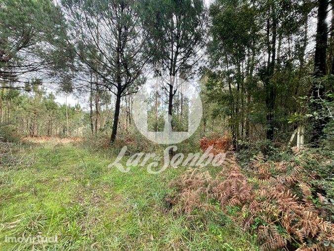 Terreno Rústico de 25000m² em Canidelo, Vila do Conde - Grande imagem: 2/4