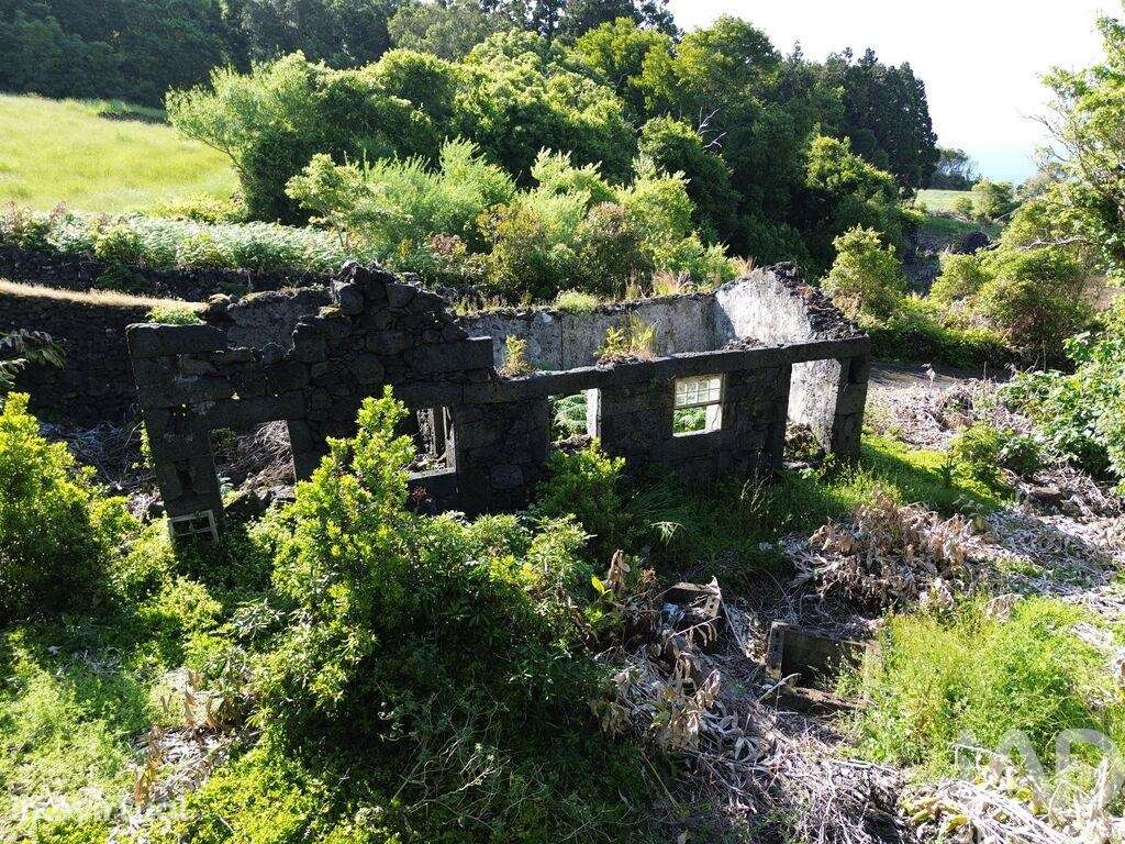 Casa / Villa T2 em Ribeirinha de 695,00 m2 - Grande imagem: 4/10