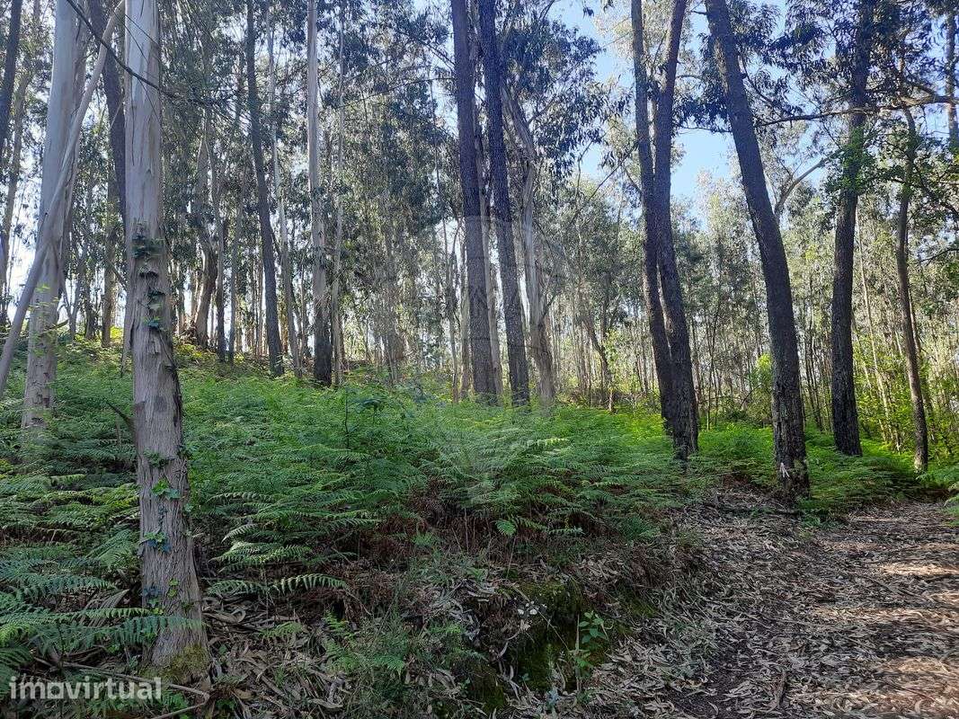 Terreno  para venda - Grande imagem: 5/5
