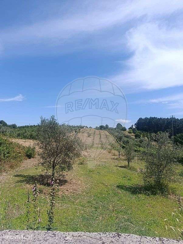 Terreno  para venda - Grande imagem: 2/4