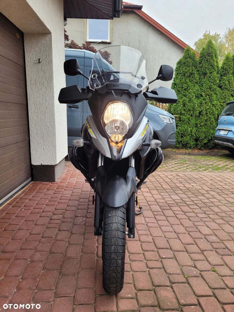 Suzuki DL - 10