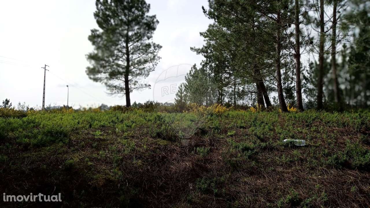 Terreno  para venda - Grande imagem: 5/5