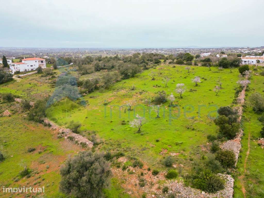 Terreno rústico, com ligeira inclinação para Sul, em Albufeira, com... - Grande imagem: 2/4