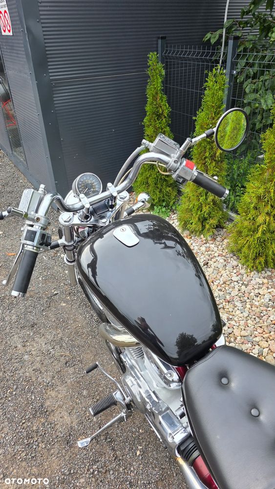 Suzuki Intruder - 18