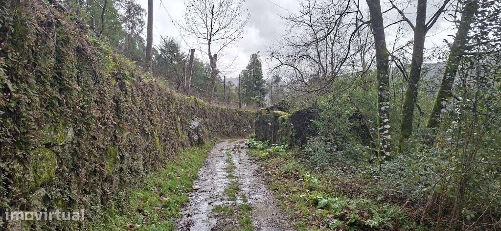 Terreno  Agrícola  Ecológico - Valdosende - Grande imagem: 2/26