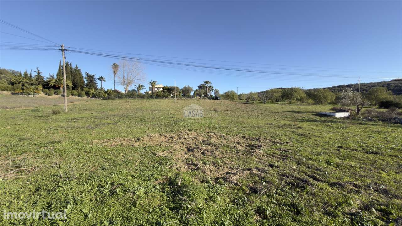 Terreno Rústico  Venda em Santa Bárbara de Nexe,Faro - Grande imagem: 5/9