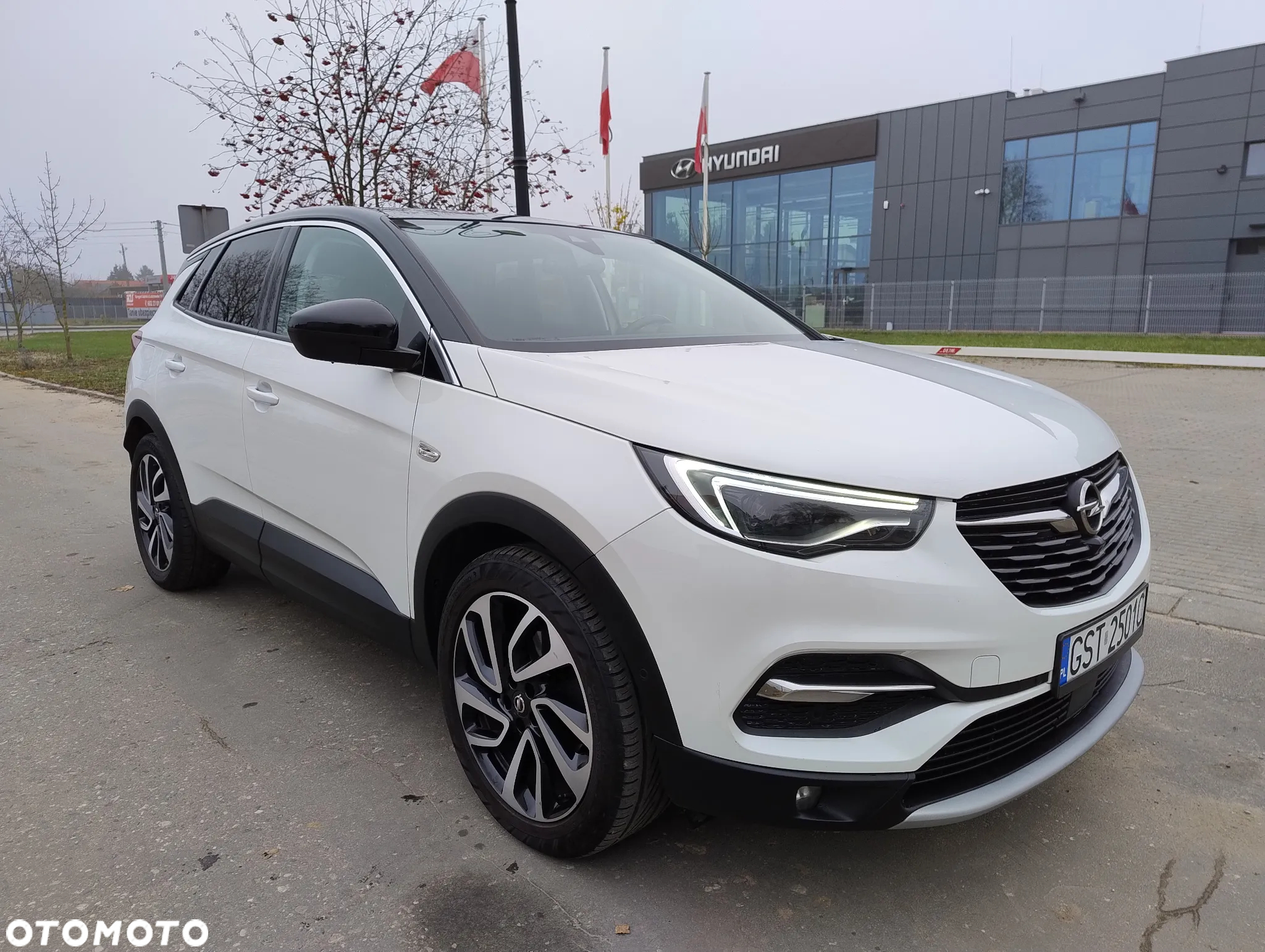 Opel Grandland X 1.6 CDTI Ultimate S&S - 12