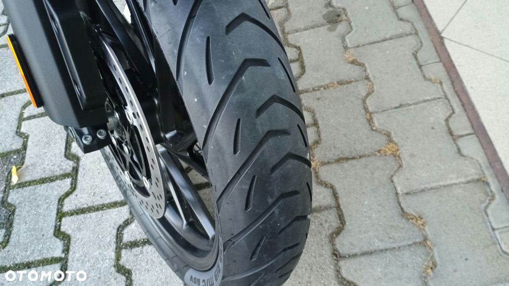 Triumph Tiger - 25
