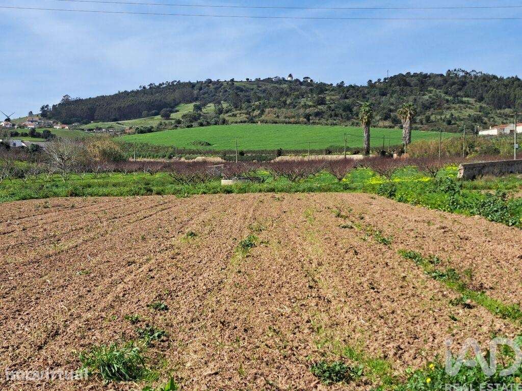 Terreno em Azueira e Sobral da Abelheira de 21437,00 m2 - Grande imagem: 2/23