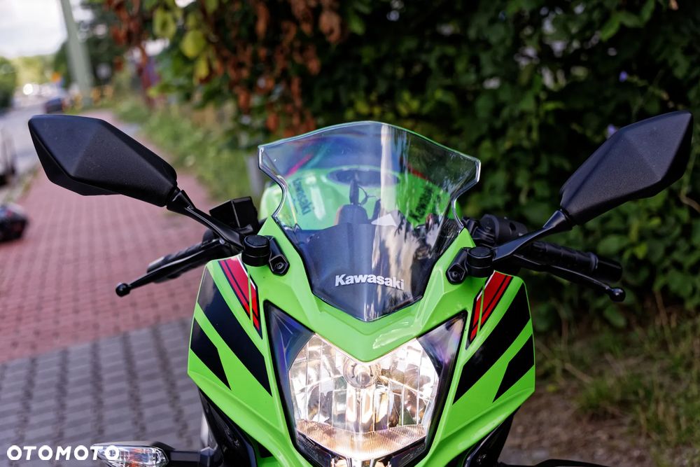 Kawasaki Ninja - 17