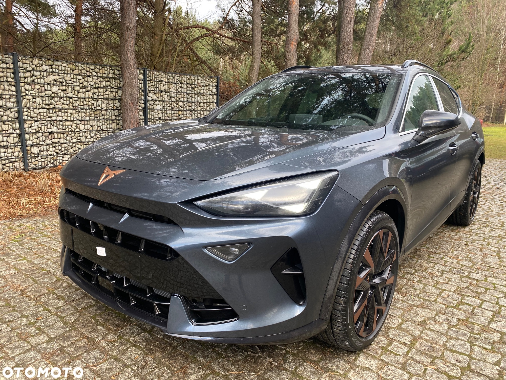 Cupra Formentor 2.0 TSI 4Drive VZ DSG - 5