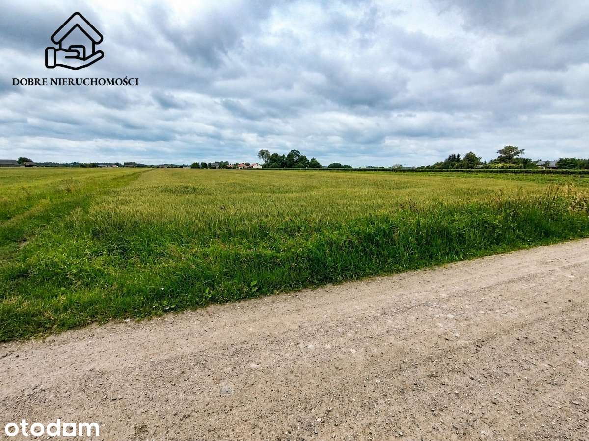 Działka budowlana 32x94 m - Siedliska gm. Kamionka - Pełny obrazek: 4/5