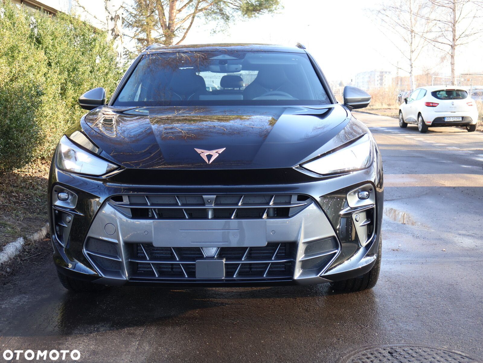 Cupra Terramar 2.0 TSI 4Drive DSG - 18
