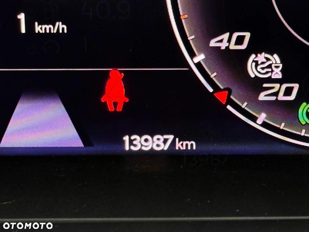 Cupra Formentor 2.0 TSI 4Drive DSG - 32