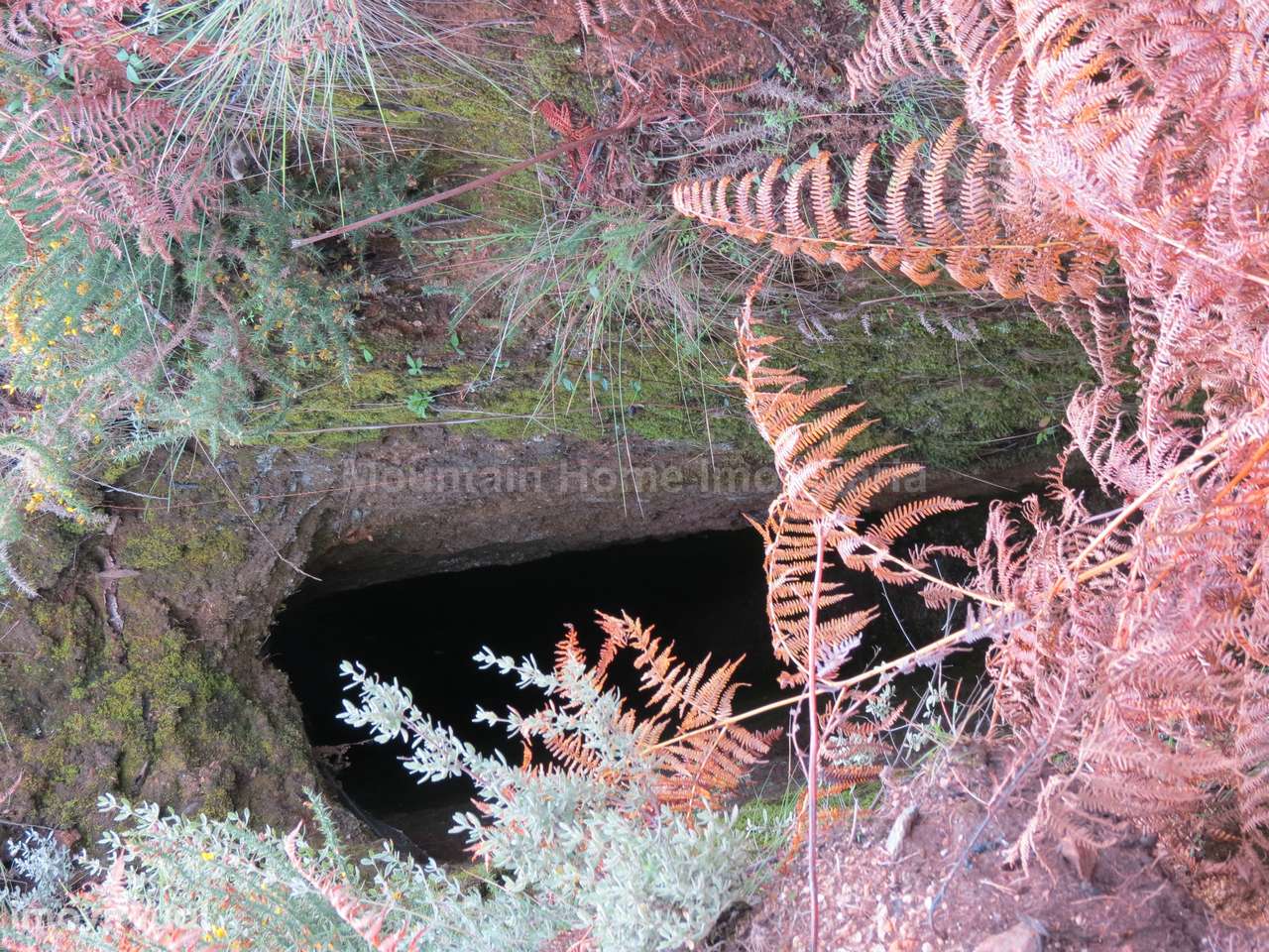 Quintinha  Venda em São Gião,Oliveira do Hospital - Grande imagem: 2/16
