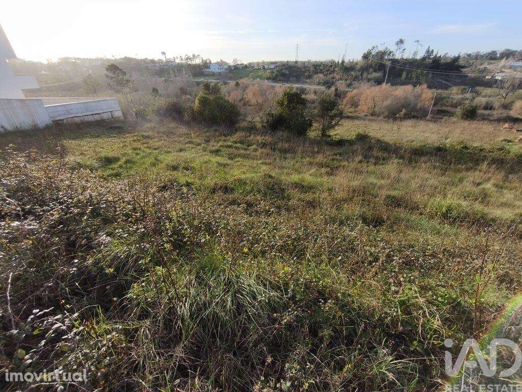 Terreno para construção em Batalha - Grande imagem: 5/26