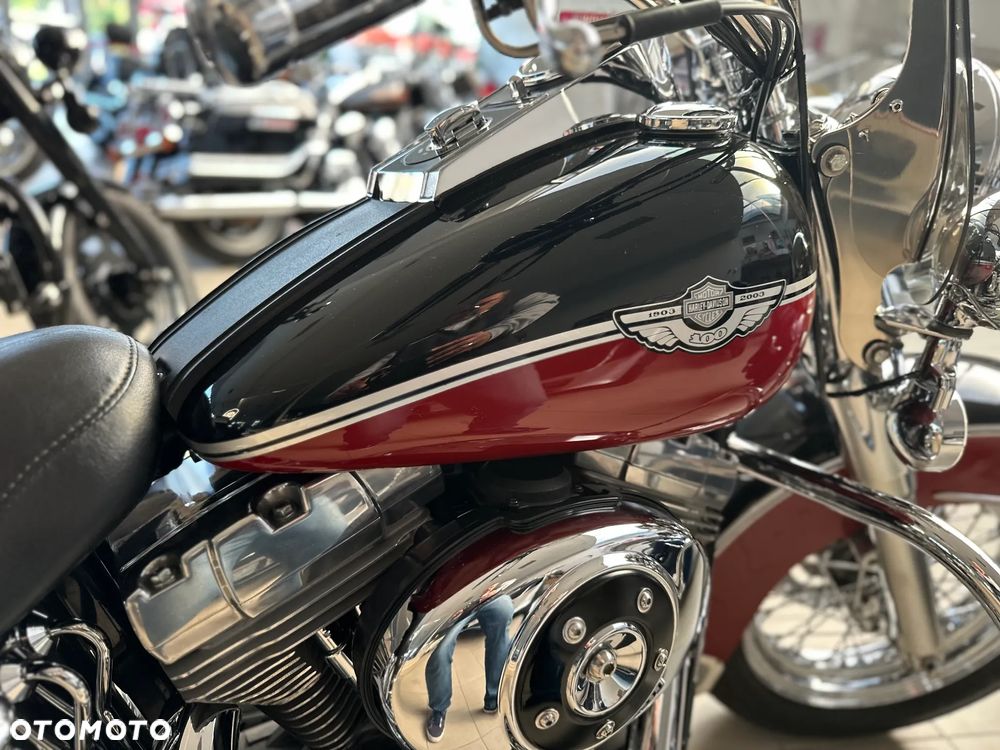 Harley-Davidson Softail - 18
