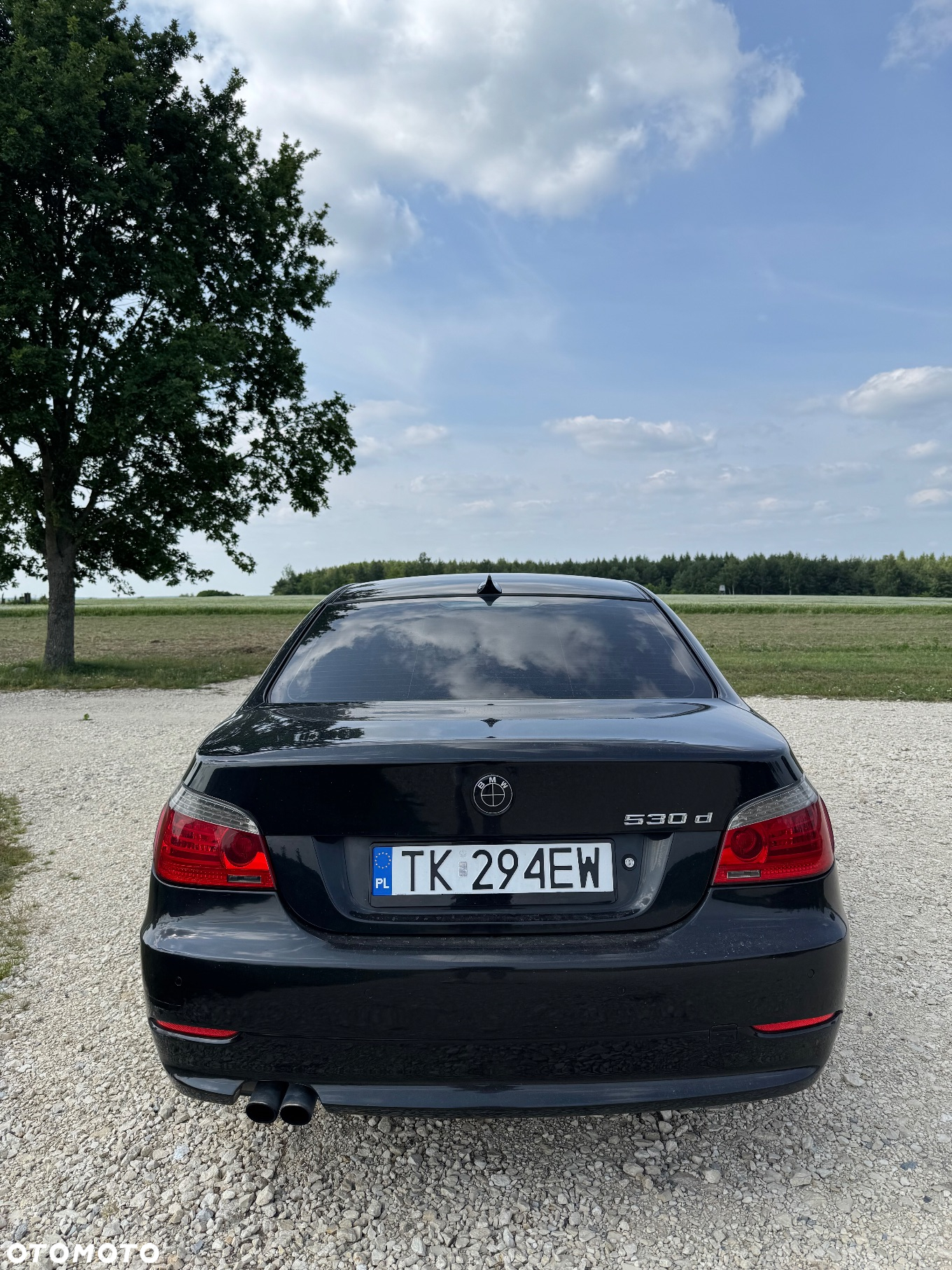 BMW Seria 5 - 11