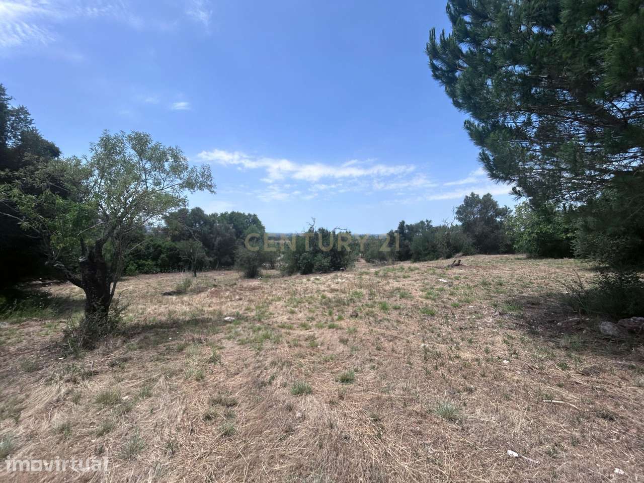 Exclusivo Terreno com 6.320m² em Silves – Natureza, Privacidade e Pote - Grande imagem: 5/59