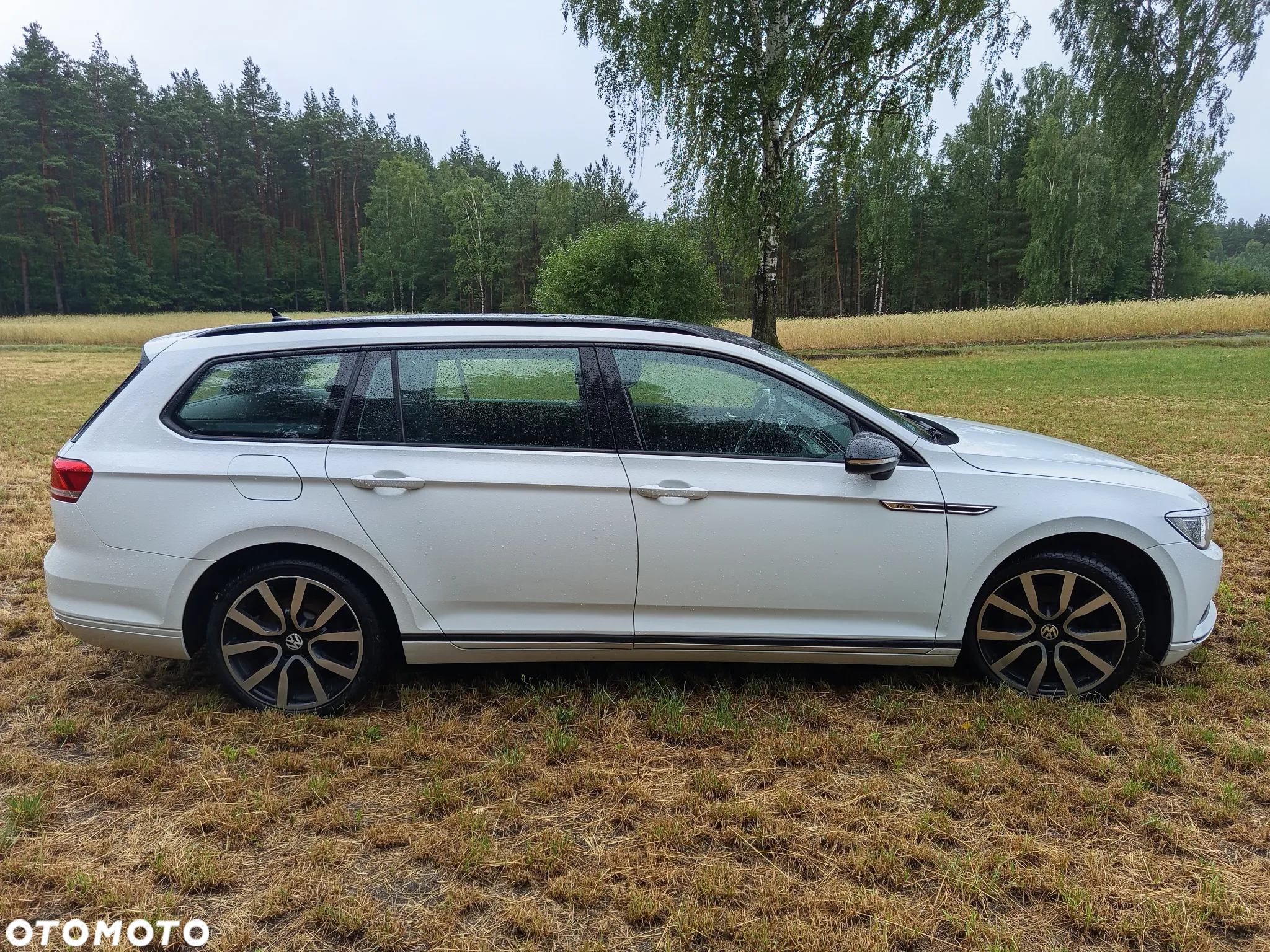 Volkswagen Passat - 12