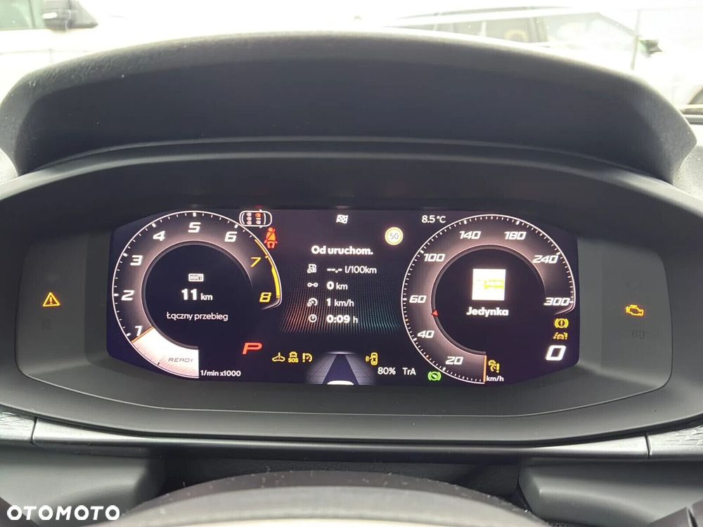 Cupra Terramar - 17