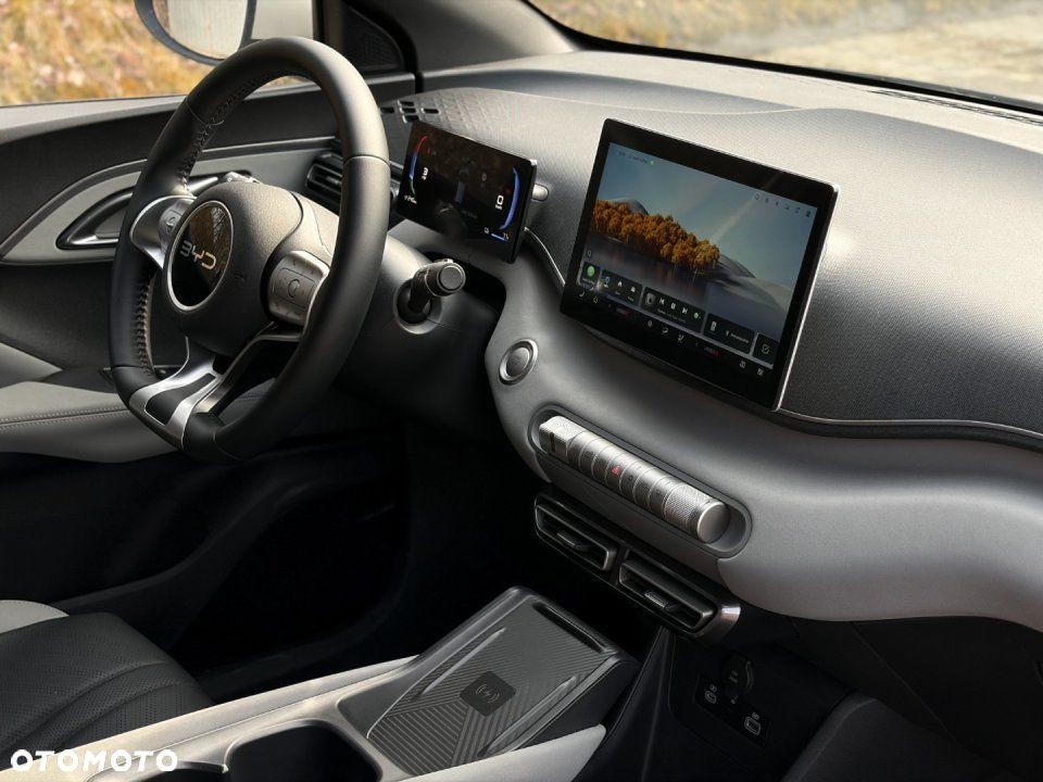 BYD Dolphin Surf - 9