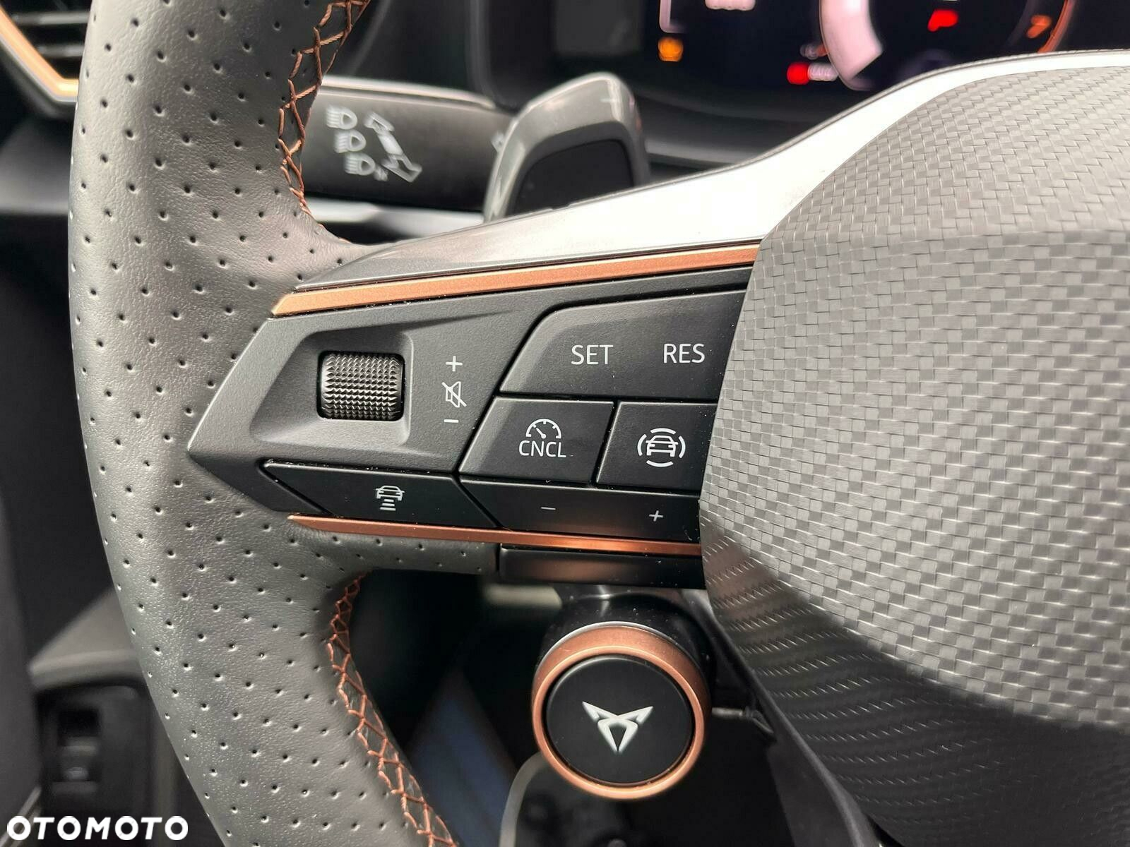 Cupra Formentor 1.5 TSI DSG - 15