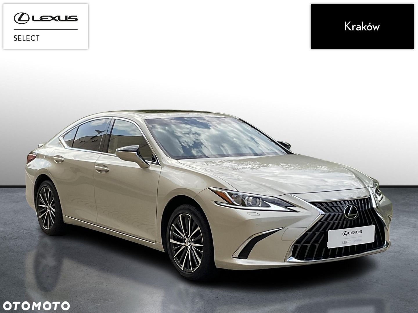Lexus ES 300h Business Edition - 7