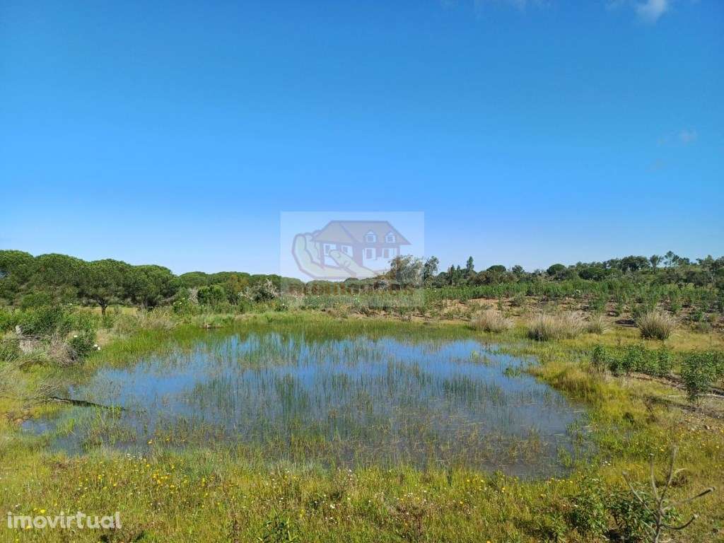 Pronto a construir - PROJECTO APROVADO e vista mar - Grande imagem: 5/18