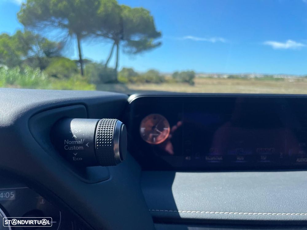 Lexus UX 250h Luxury - 24