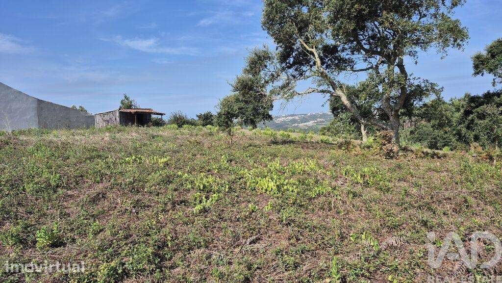 Terreno para construção em Vimeiro - Grande imagem: 2/19