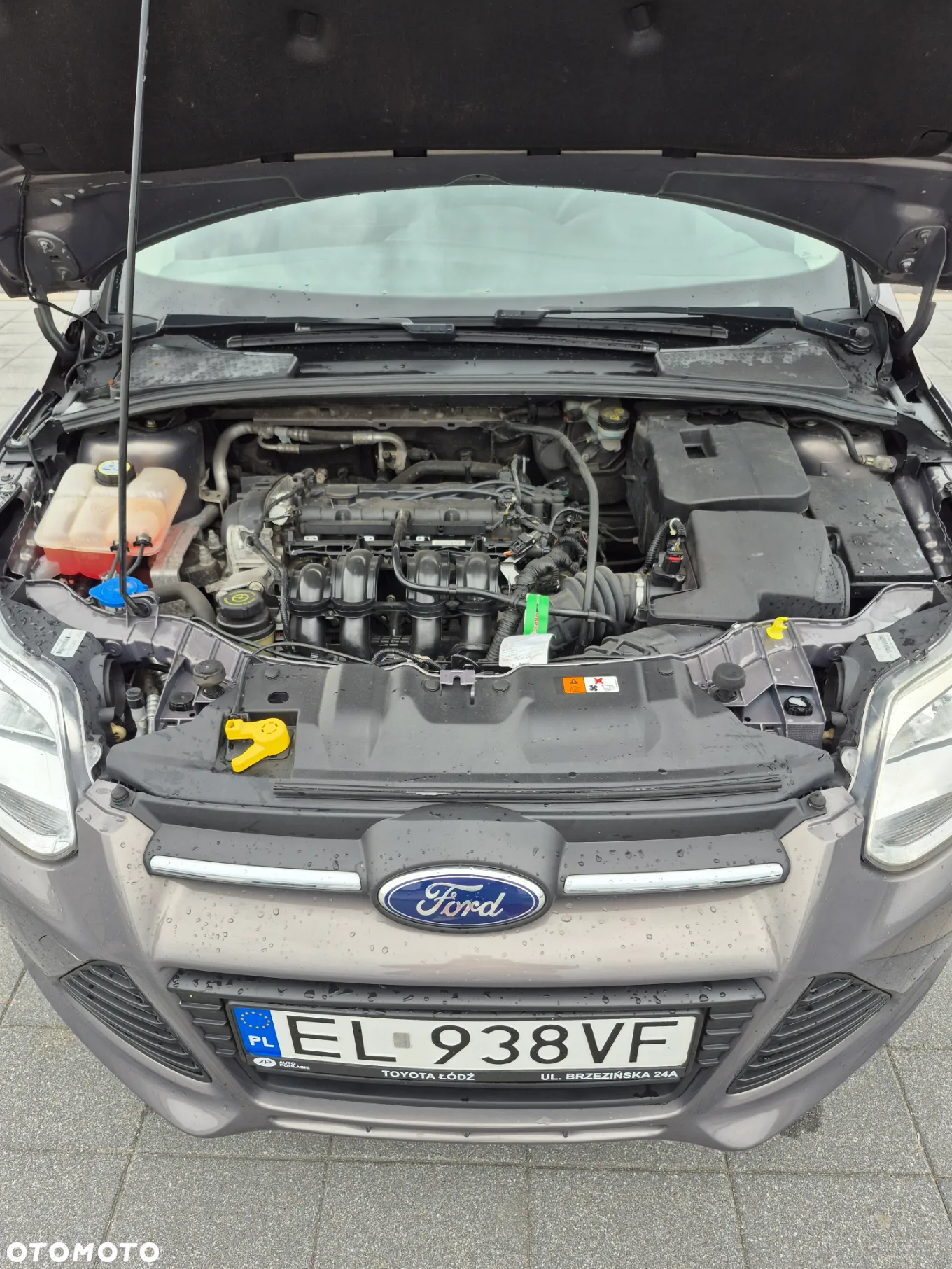 Ford Focus 1.6 Gold X (Trend) - 14