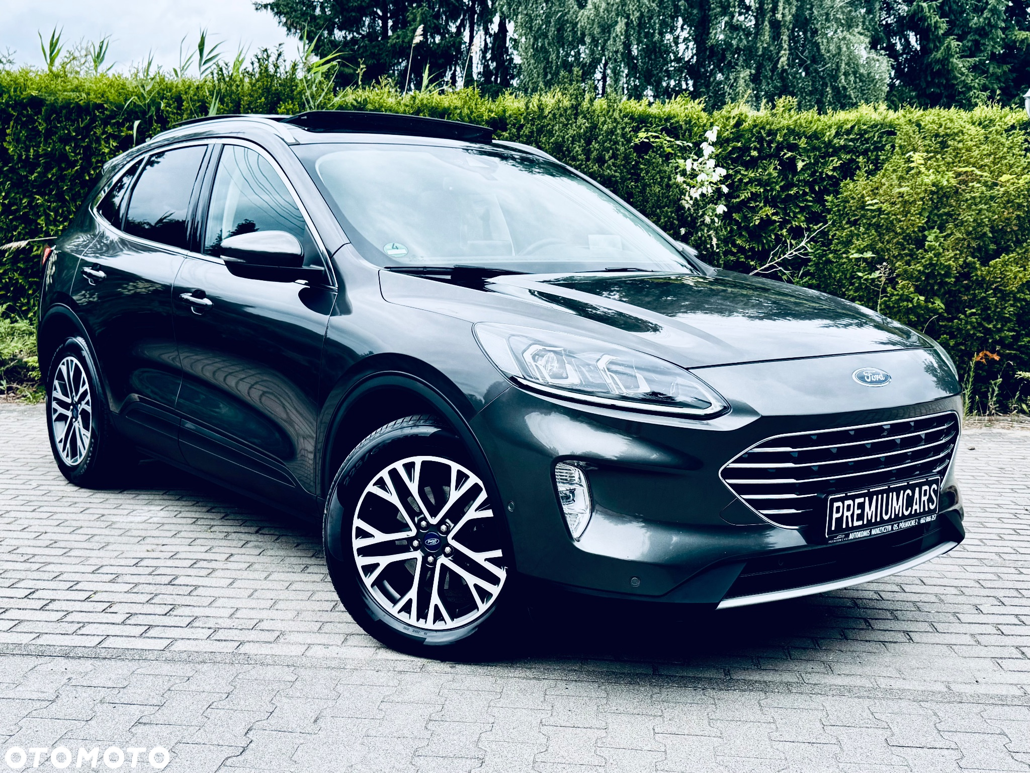 Ford Kuga 2.0 EcoBlue 4x4 TITANIUM - 10