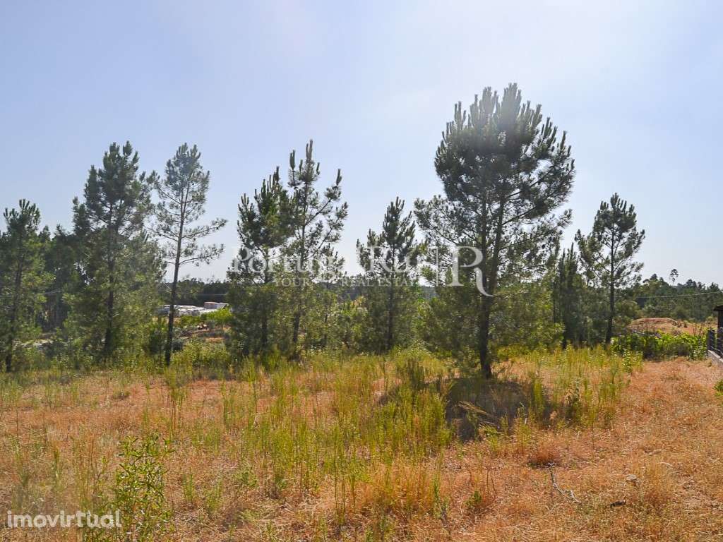 Terreno com 5.080 m² para construção de moradia - próximo de Proenç... - Grande imagem: 2/8