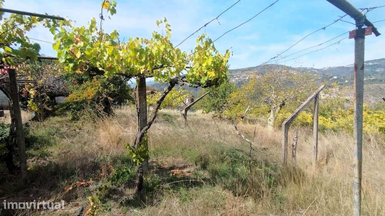 Moradia T3 à venda em Freigil e Miomães, Resende — foto 14