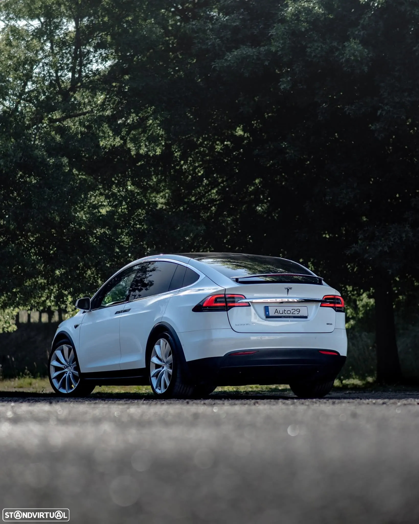 Tesla Model X 90D - 12