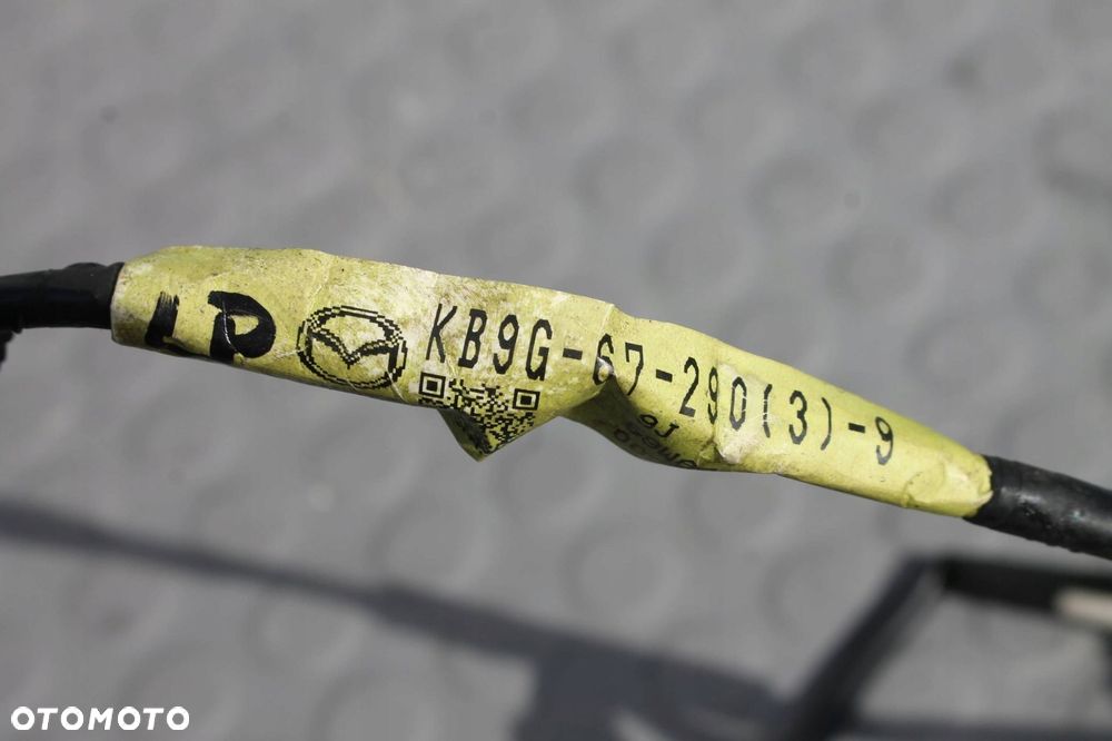 マイオピン 0.025% 近視進行抑制治療 | マイオピンとリジュセアミニの