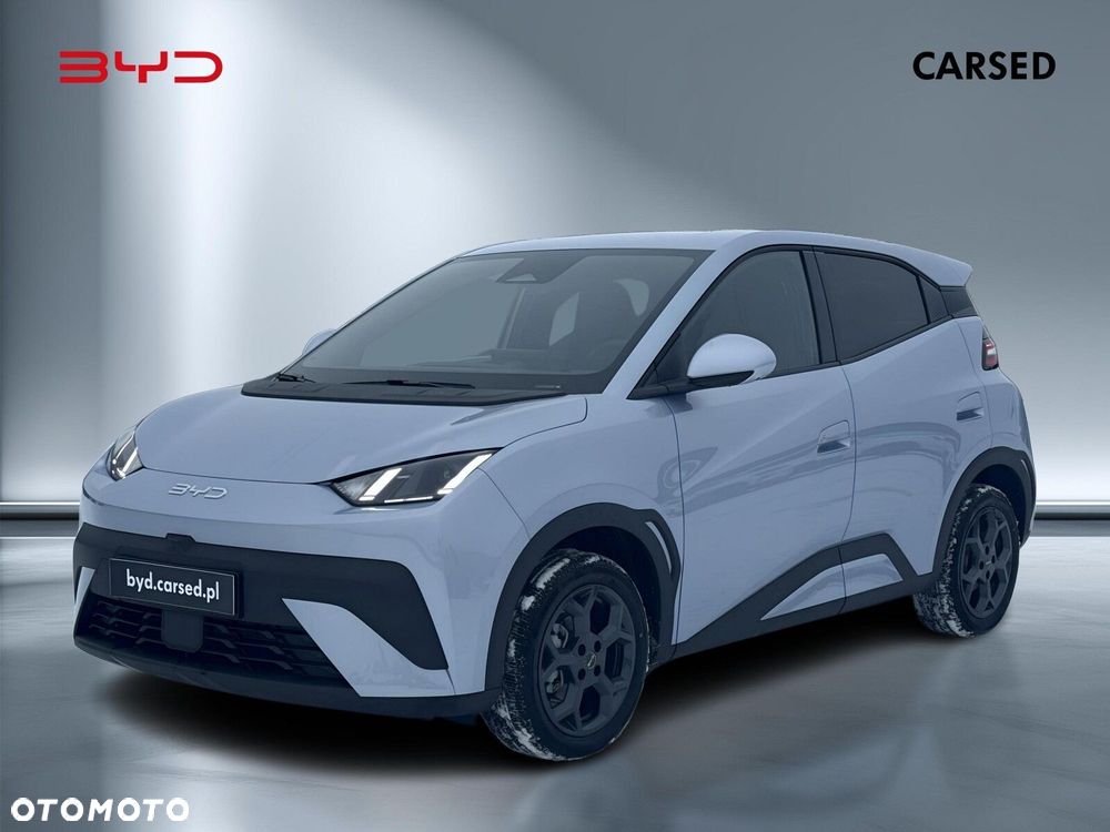 BYD Dolphin Surf - 2