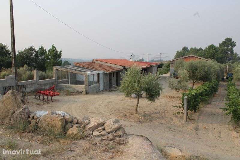 Terreno com Moradia, Garagens e Anexos à Venda - Grande imagem: 3/12