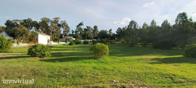 Excelente terreno para construção na Chamusca