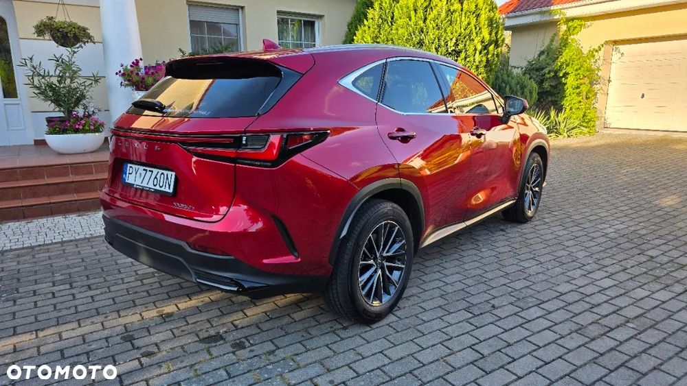 Lexus NX 350h Prestige 2WD - 8
