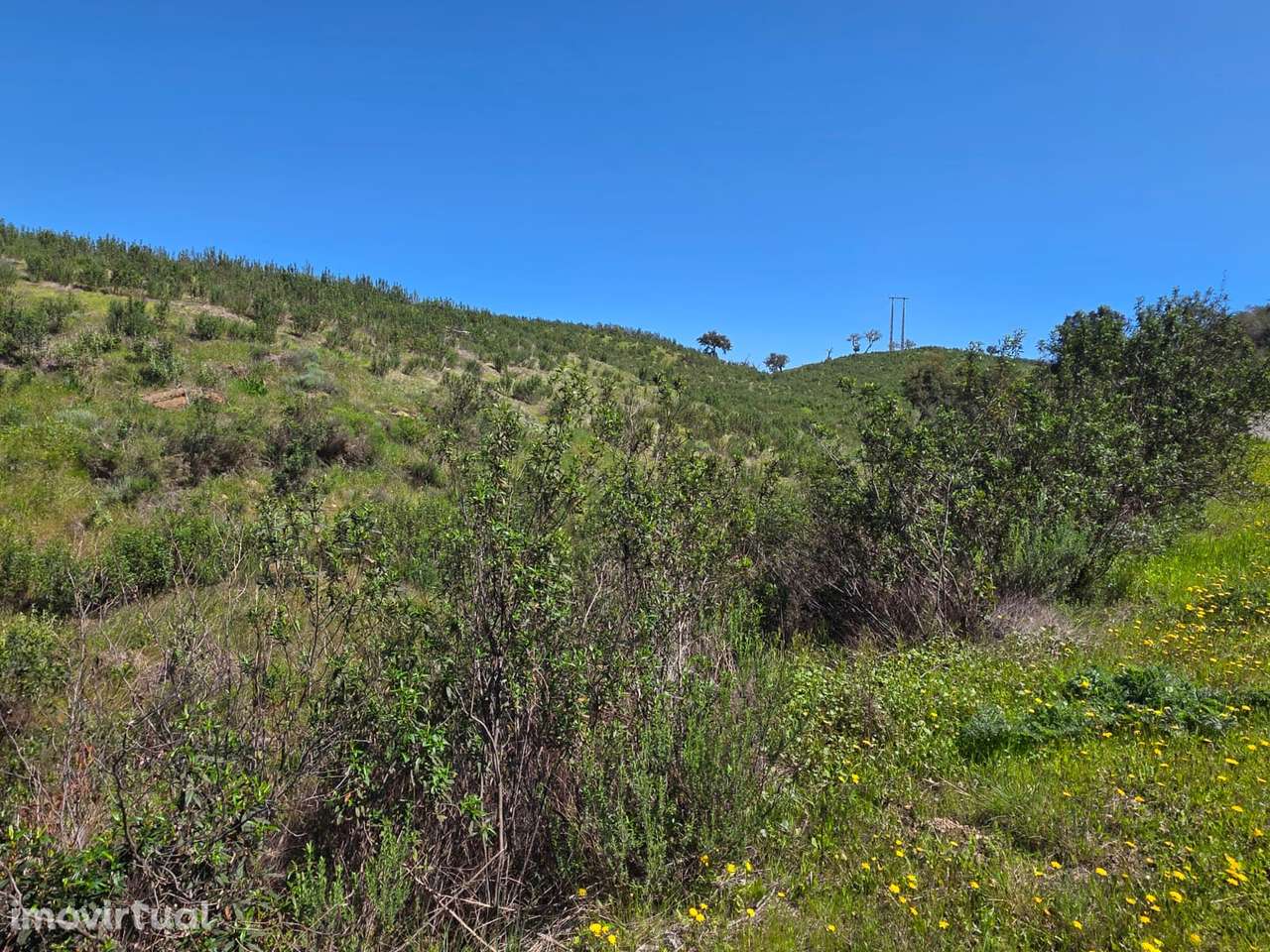 Terreno - Grande imagem: 5/26