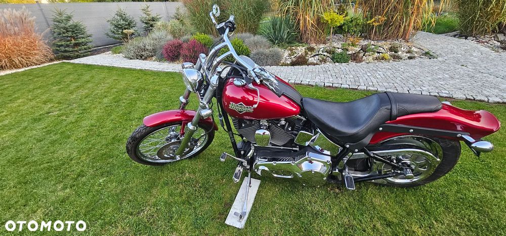 Harley-Davidson Softail - 4