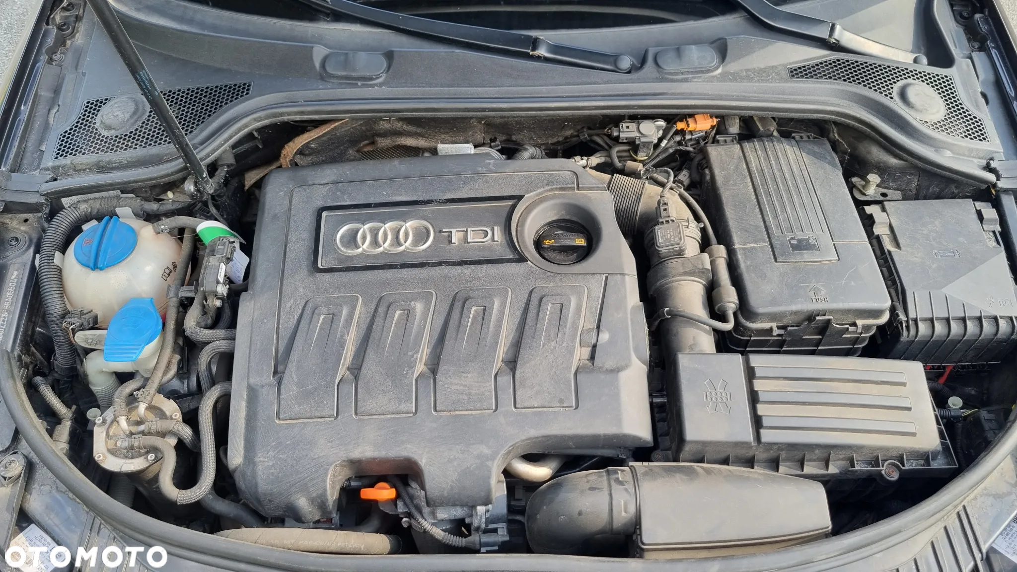 Audi A3 1.6 TDI DPF Attraction - 6