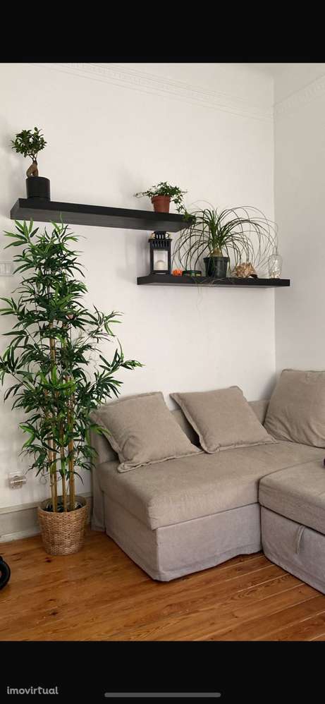 Apartamento para alugar a partir de Outubro - Grande imagem: 4/8
