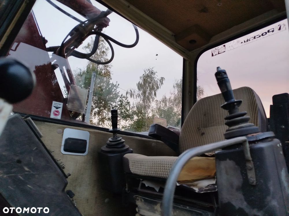 Case 61 błotniak - 22