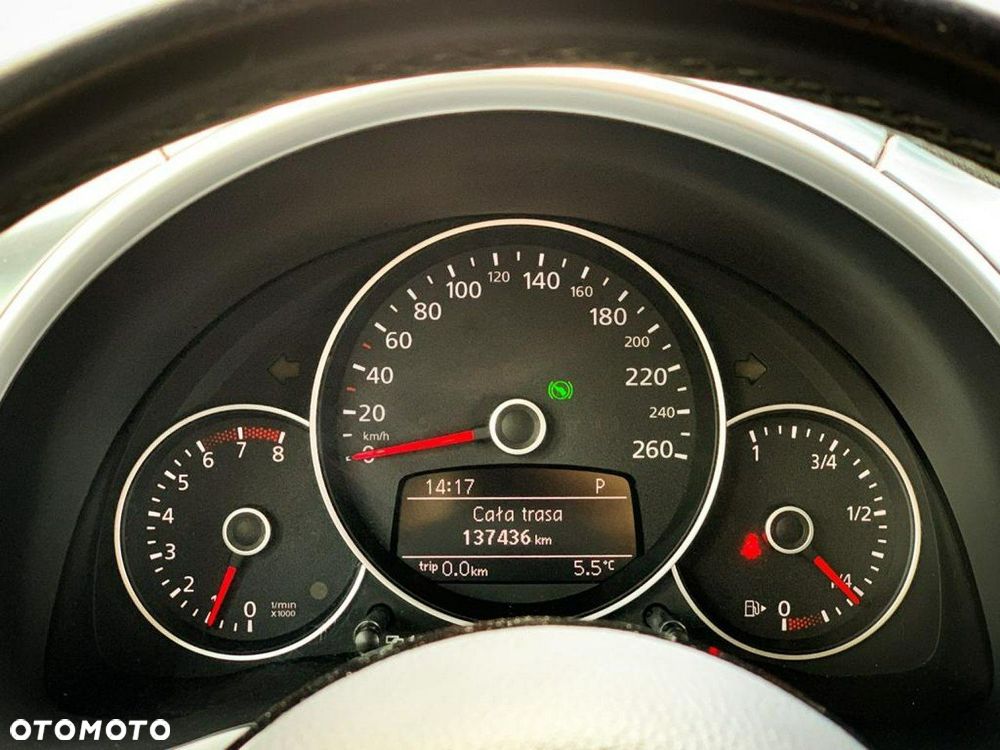 Volkswagen Beetle - 25