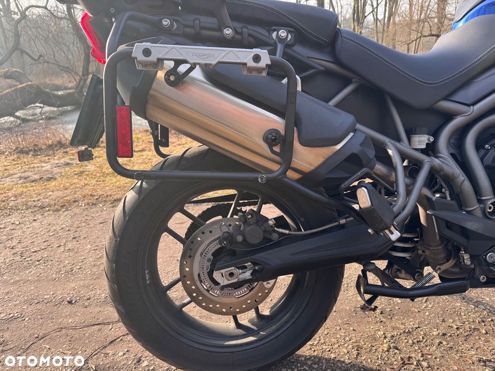 Triumph Tiger - 17