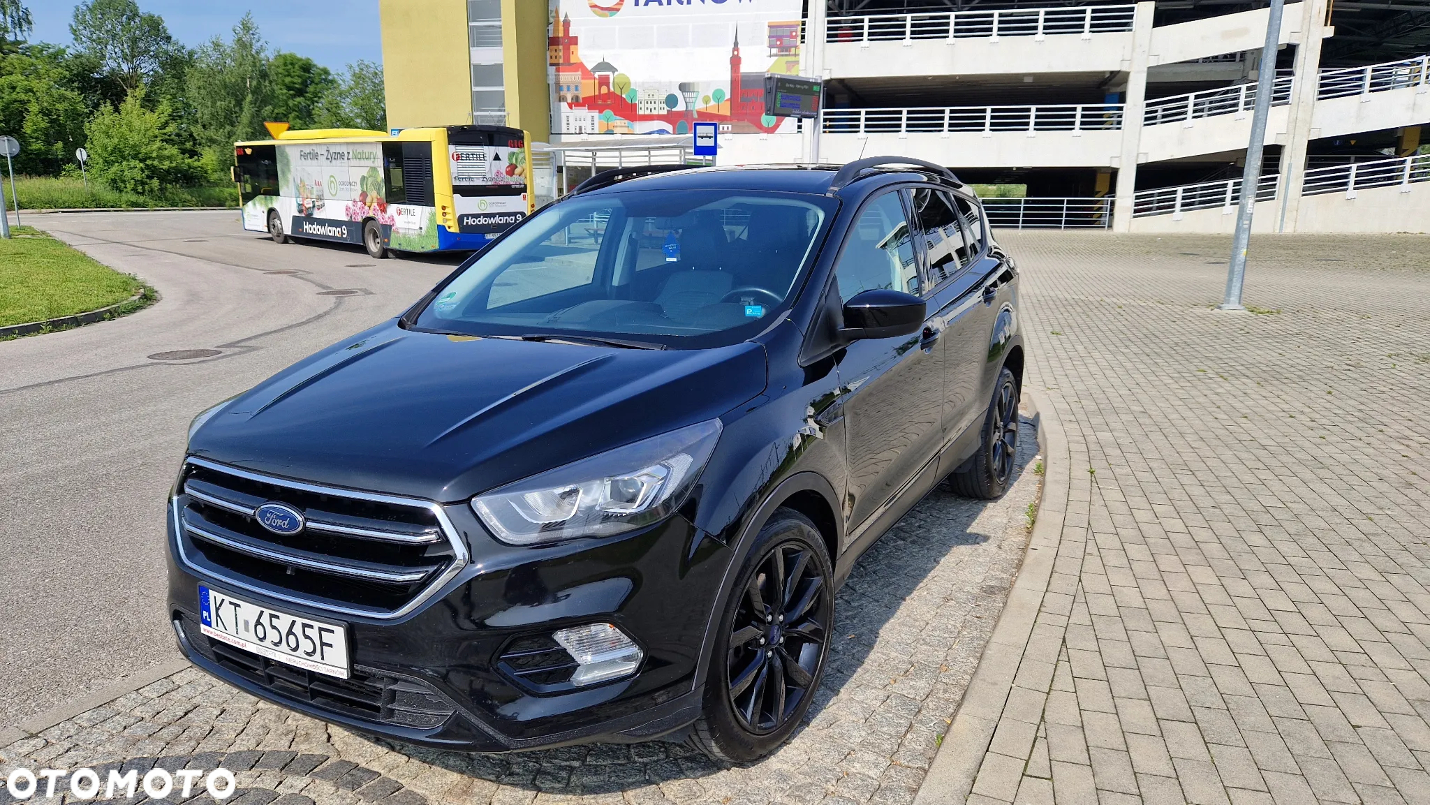Ford Escape 2.0 EcoBoost AWD Titanium - 9