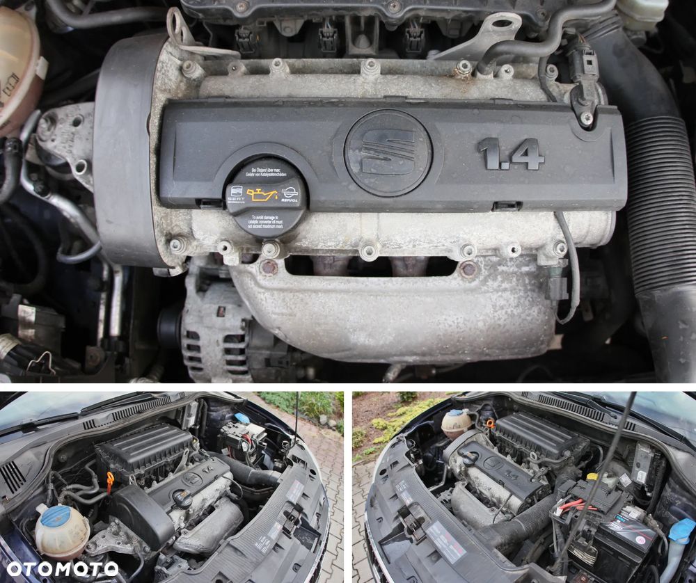 Seat Ibiza - 40